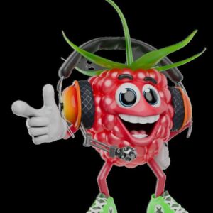 Ricky Raspberry Soda 4 Pack